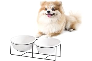 AHX Ceramic Cat Bowls - Elevated Cat Dog Bowls with Metal Stand for Water and Food - Double Tilted and Raised Pet Dish for Cats and Small Size Dogs - Microwave and Dishwasher Safe 15.2 oz × 2