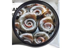 Lebendfutter Verschiedene Sorten zur Auswahl 45ml oder 90 ml (Posthornschnecken 90 ml) SAHAWA Fischfutter