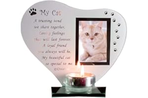 PARMY Candle and Photo Holder Glass Memorial Plaque for Departed Pet - Personalise your Frame with your Pet’s Picture | Thoughtful Present with Poem (Cat)