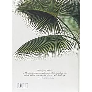 Martius. El Libro De Las Palmeras (Bibliotheca Universalis)