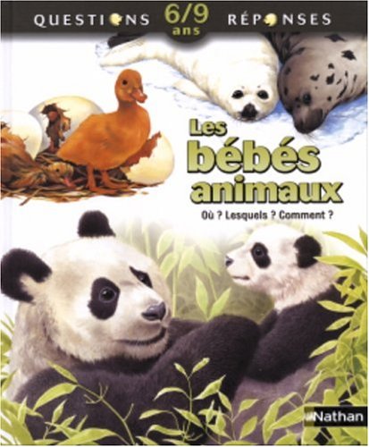 couverture de : Les b&eacute;b&eacute;s animaux
