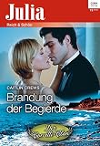 Cover zum Buch Brandung der Begierde
