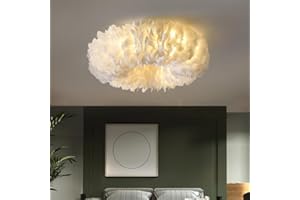 GUANSHAN Elegante Feder Deckenleuchte Kronleuchter Feder Lampenschirm Deckenleuchte Pendelleuchte Kreative Feder Leuchten Deckenleuchte Für Schlafzimmer, Wohnzimmer