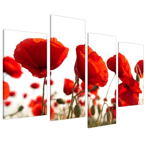 Wallfillers Canvas 4056 Wandbild mit Blumendruck, rote Mohnblumen, extragroß