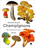 Champignons