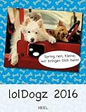 lolDogz 2016 by 