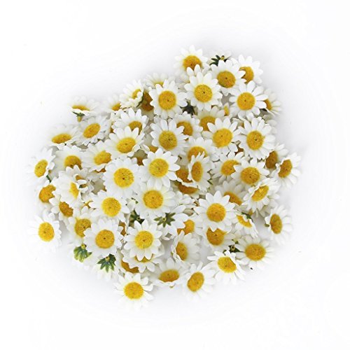Butterme 100pcs künstliche Gänseblümchen Blumen Köpfe Real Touch künstliche Blumen für DIY Hochzeit Home Decor (Weiß) - 5