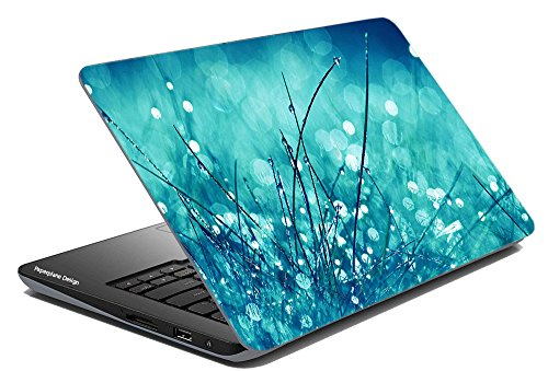 PPD Combo of Laptop skin cover, Skin stickers for Dell, Hp, Toshiba, Acer, Asus and for all models with Hard disk skin RS.195 (74.00% Off) - Amazon