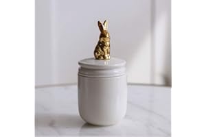 ZYHJAMA Urne Funéraire Souvenir Petite - Lapin, Oiseau, Couverture Urnes funéraires en céramique Cendres humaines ou d'animaux de Compagnie