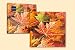 Produktbild Servietten 20er Pack Motiv Herbstlaub