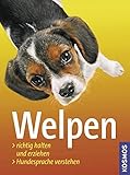 Image de Welpen: Richtig halten und erziehen, Hundesprache verstehen