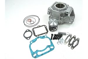 MOTORSPORTGOETZ Cylinder Aprilia RS 125 ROTAX 122