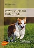 Image de Powerspiele für Hütehunde: Border Collie, Australian Shepherd & Co. rassegerecht beschäftigen