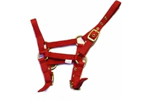 Rhinegold Nylon Foal Headcollar