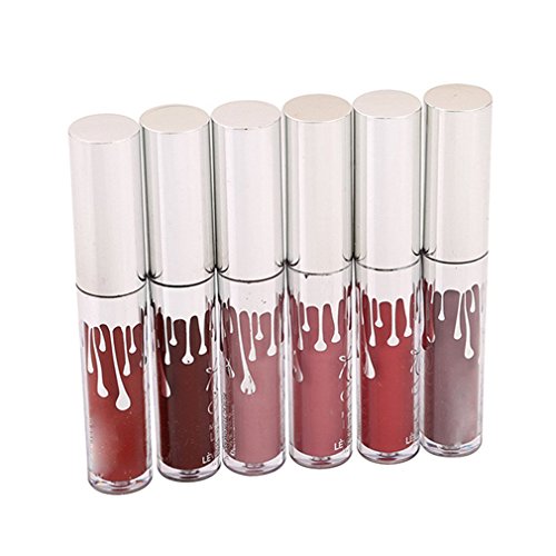 VWH 6 Farben Wasserdichte langlebige Matte Flüssigkeit Lipgloss Lippenstift Kosmetik