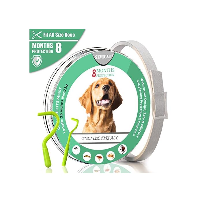 Are Dog Tick Collars Safe