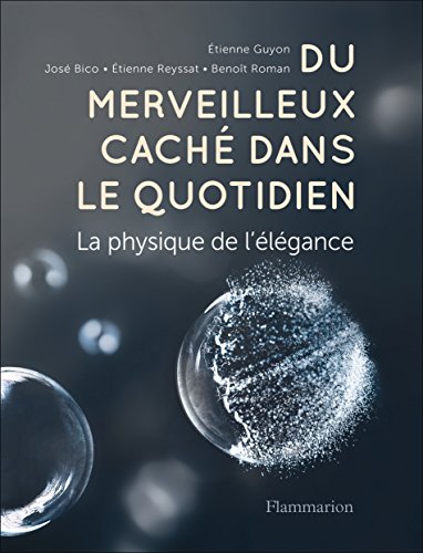 couverture de : Du merveilleux cach&eacute; dans le quotidien