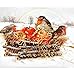 Produktbild BAIYUYA Rahmenlose malerei by Zahlen ölgemälde auf leinwand wanddekor DIY Apple Vogel Home Decor Geschenk 40x50 cm