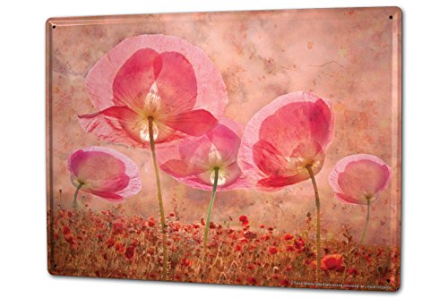 Preisvergleich Produktbild Blechschild XXL Küche Mohn