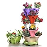 Hinweis: Pflanzen sind nicht enthalten