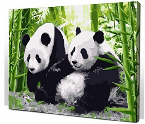 Panda-DIY Malen nach Zahlen Art Set Leinwand-Wand-Bild 16x20 Zoll (mit Holzrahmen)