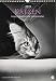 Katzen - Ein literarischer Spaziergang - Kalender 2019 by 