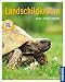 Produktbild Landschildkröten: halten, pflegen, verstehen (Mein Tier)