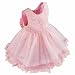 iEFiEL Baby Girl's Princess Dresses Flower Wedding Party Bowknot Lace Tulle Dress Pink 18-24 Months