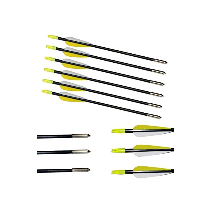 Buy 30 Inch 6pcs Fibreglass Arrows Field Tips Archery Fletched