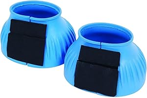 Saxon - Paraglomi con strappo