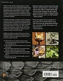 Image de Venomous Snakes of the World