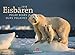 Eisbären 2018 by