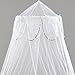 Mosquito Nets 4 U Bed Canopy with Decorative Silver Binding, White