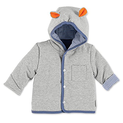 Sterntaler Baby Boys' 2621620 Hoodie, Silver (Silber), 9-12 Months