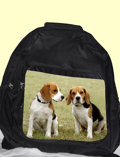 Preisvergleich Produktbild Rucksack Beagle