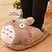 Produktbild BAONZEN Cartoon Chinchilla Hause Hausschuhe Warme Füße Plüsch Chinchilla Computer Baumwolle Hausschuhe Vielzahl, 40 * 25 cm (geeignet für alle füße), Füße Hausschuhe Totoro