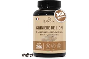 Bandini® Crinière de Lion 2000 mg | 365 Comprimés pour 1 An (1 comprimé par jour) | Extrait 25:1 de Lion's Mane Mushroom avec Poivre Noir | 50% polyphénols | Champignon Hericium Erinaceus 100% Vegan