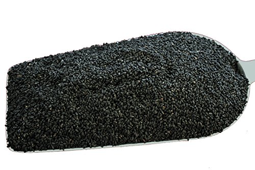 Preisvergleich Produktbild Schwarzkümmelsamen original ägyptisch, 5kg, Gewürze, Pferd, Atemwege