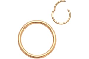 4youquality Surgical Steel Nose Ring Septum Clicker Hinge Segment Ear Helix Tragus Ring Hoop Nose Rings