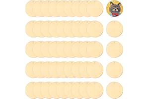 Bieiyhe 50 Piezas Discos Redondos de Madera con Agujero,Discos de Madera para Manualidades 3 cm de Diámetro,Circulos Madera Pequeños,Trozos de Madera Redondos,Discos de Madera Natural para Pintura