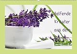 Kalender Helfende Kräuter aus dem Garten Schweizer KalendariumCH-Version (Wandkalender 2019 DIN A2 quer): Sommerkräuter die helfende und heilende Wirkung haben ... 14 Seiten ) (CALVENDO Gesundheit)