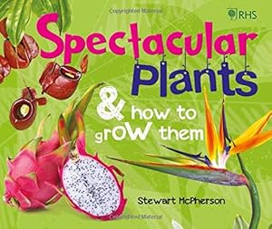 kindle best category lists