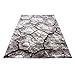 Produktbild Carpet 1001 Moderner Designer Wohnzimmer Jugendzimmer Teppich Parma 9280-Braun - 200x290 cm