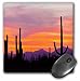Produktbild Sonora-Wüste, Saguaro National Park, Arizona USA – US03 bjy0008 – Maus Pad, 8 von 20,3 cm (MP _ 142324 _ 1)