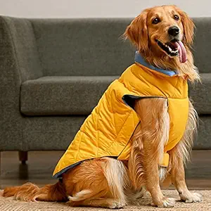 Heads Up For Tails Cozy Pupper Reversible Dog Jacket - Yellow/Ocean Blue - 3XL