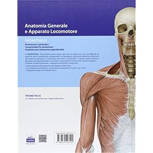 Prometheus. Testo atlante di anatonomia. Anatomia