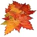 Produktbild Deko - Blätter Herbst, Streublätter, 12er Sortierung, Blätter - Maße: von ca. 10 cm - 12 cm
