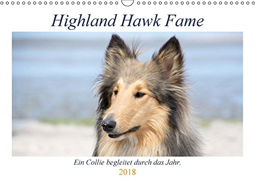 Highland Hawk Fame - Ein Collie begleitet durch das Jahr (Wandkalender 2018 DIN A3 quer): Bilder einer Rough Collie Hündin bei Ihren Ausflügen durch ... und Marina Zimmermann Fotografie GbR, Andreas