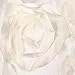 SA Newborn Baby 3D Rose Backdrop Receiving Blanket ,Baby photography background (White)