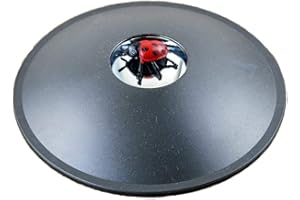ANCLLO 3D Mirascope Instant Illusion Maker Optical Projection Visual Illusion Parabolic Reflector for Gift-Ladybug